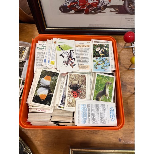 333 - 3 TUBS OF CIGARETTE AND TRADE CARDS, MANY COMPLETE SETS