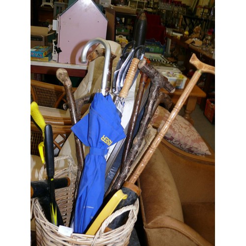 338 - BASKET WITH A NICE SECTION OF WALKING STICKS PLUS 2 SHELEIGHLIES AND A SHOOTING STICK