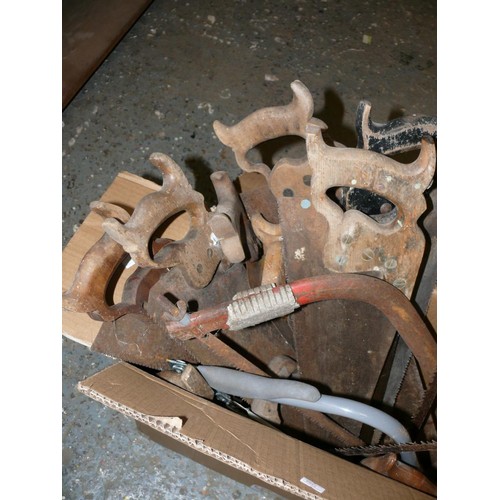 243 - LARGE BOX OF VARIOUS SAWS