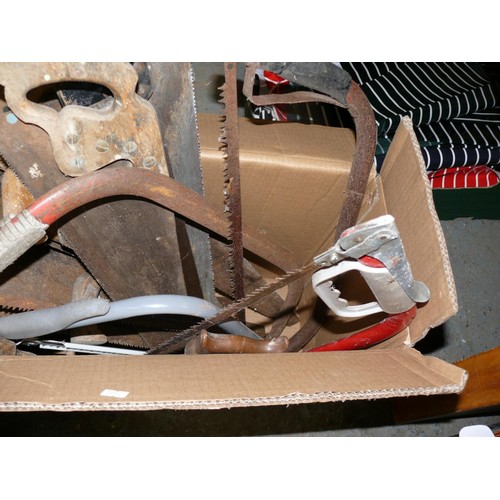 243 - LARGE BOX OF VARIOUS SAWS