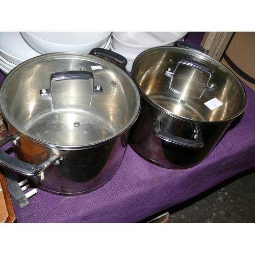 249 - A PAIR OF LARGE STAINLESS STEEL TWIN HANDLED LIDDED PANS