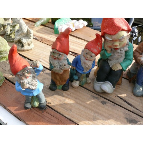 548C - 9 GNOMES