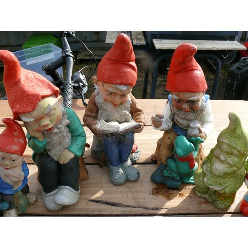 548C - 9 GNOMES