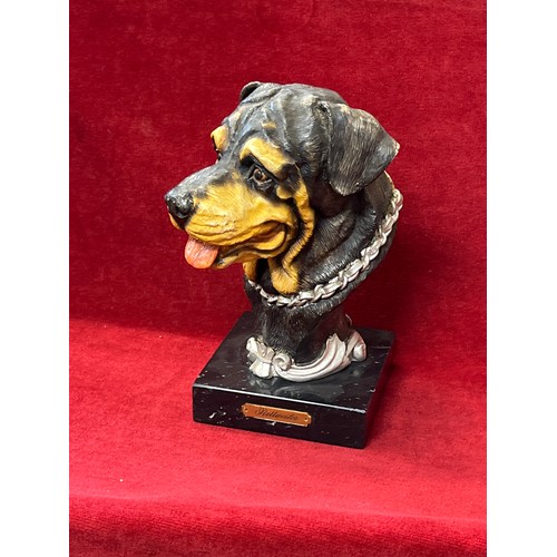 1 - ROTTWEILER HEAVY RESIN BUST ON MARBLE BASE