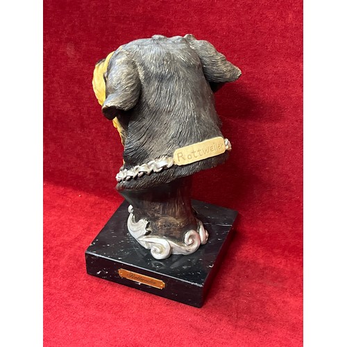 1 - ROTTWEILER HEAVY RESIN BUST ON MARBLE BASE