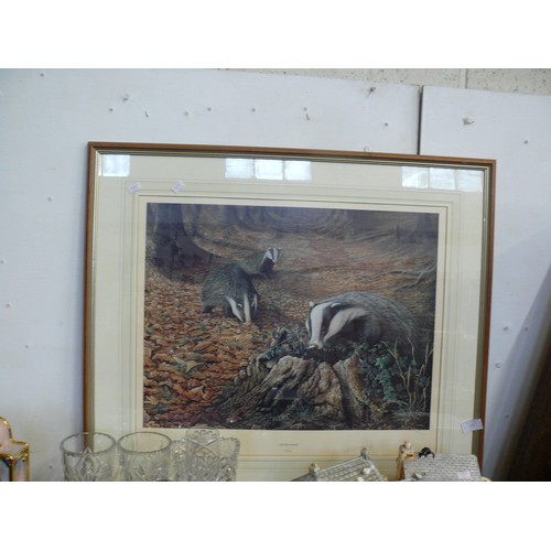 142 - LIMITED EDITION PRINT OF BADGERS IN WOODLAND 