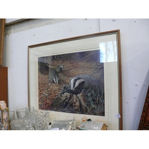 142 - LIMITED EDITION PRINT OF BADGERS IN WOODLAND 