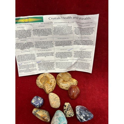 31 - TWO BEAUTIFUL POLISHED AMMONITE FOSSILS AND 7 POLISHED CRYSTALS INCLUDING AMAZONITE, SODALITE & CARN... 