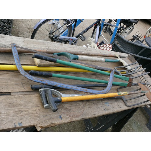 303A - SELECTION OF GARDEN TOOLS, EDGING SHEARS, FORKS, HOE, EDGER, BOW SAW, TILLER ETC