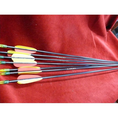 117 - 6 X CROSSBOW ARROWS