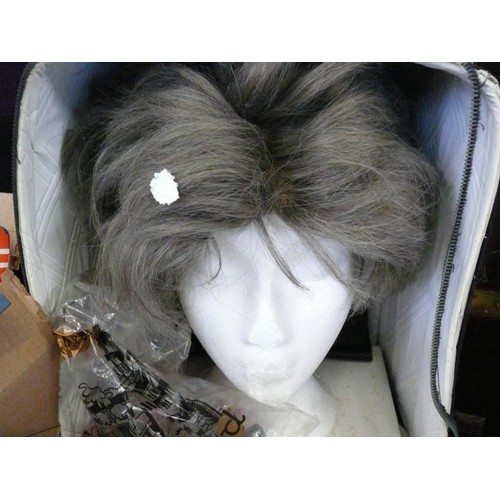 124 - VINTAGE WIG ON POLYSTYRENE  HEAD IN A CARRY CASE,