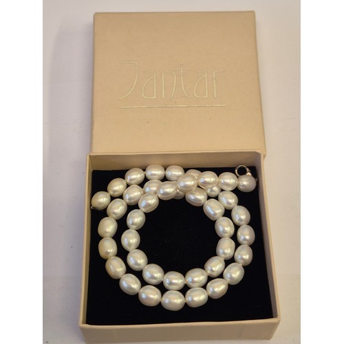 Lot 22        