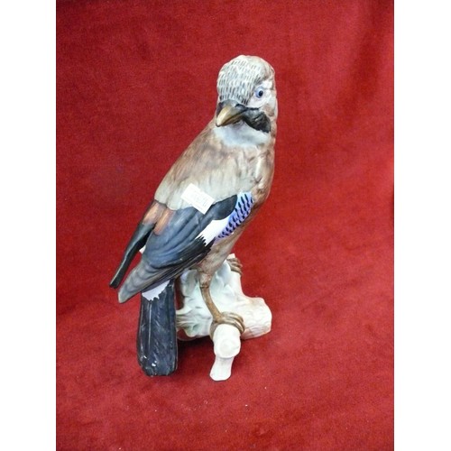 Lot 71        