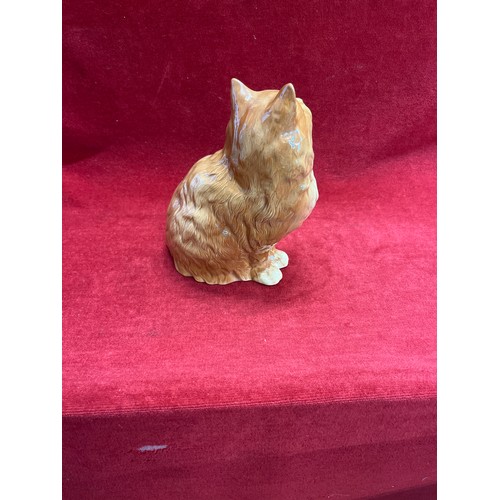 6 - Beswick Rare Large Persian Cat ginger Gloss Model 1867 - 21cm Tall x 16cm Wide