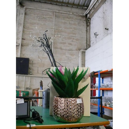 Lot 276       