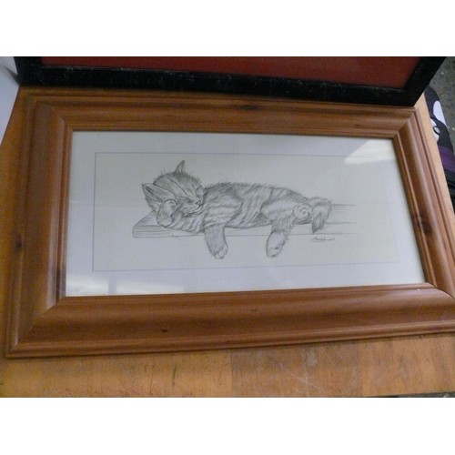 253 - FRAMED AND GLAZED PENCIL DRAWING OF A CAT