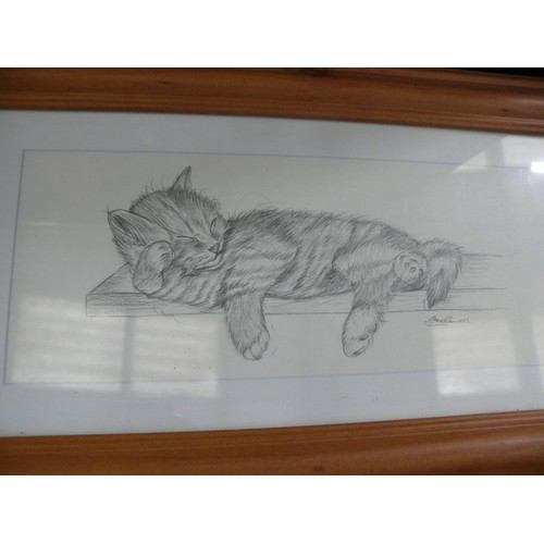 Lot 253       