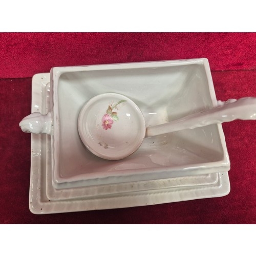 225 - Victorian Sauce Tureen on stand with sauce ladle and larger stand, decorated with blue & pink flower... 