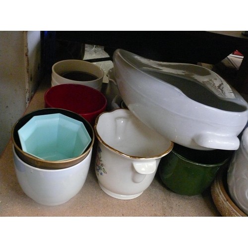 320 - Shelf full of various ceramic plant pots