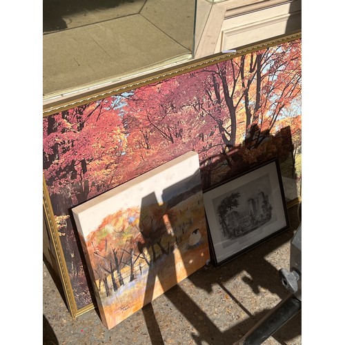 329 - Collection of framed and glazed prints plus one on canvas