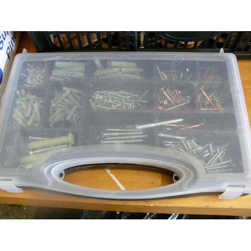 208 - Compartment storage box with contents of screws and rawl plugs plus another tub of screws