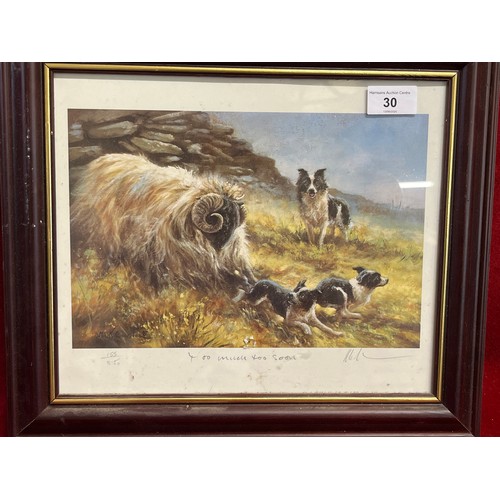Lot 30        