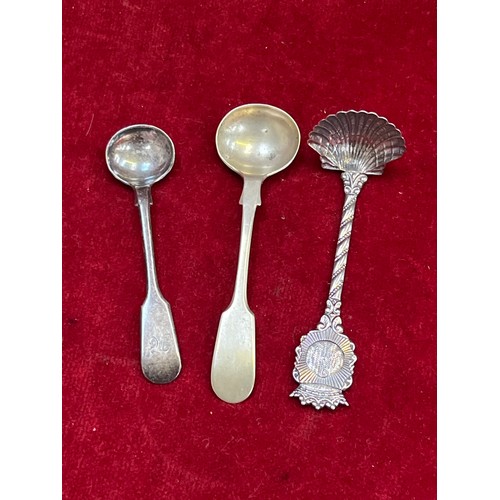 12 - Collection of silver plated flatware, including a berry spoon, sugar nip tongs, teaspoons etc.