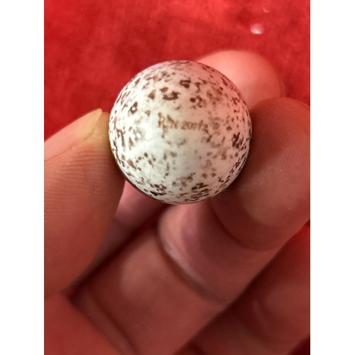 40 - A beautiful Victorian ceramic bird egg scent bottle with silver top. The egg with registered design ... 