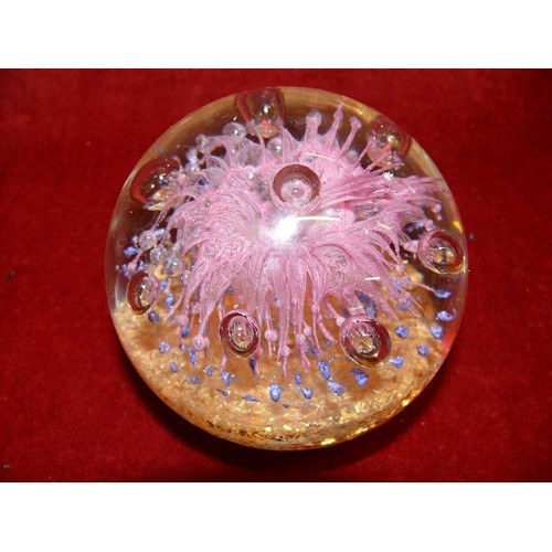 Large glass paperweight with Pink explosion centre