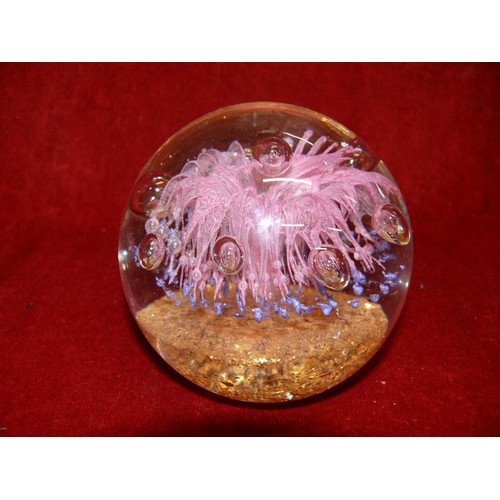 Large glass paperweight with Pink explosion centre