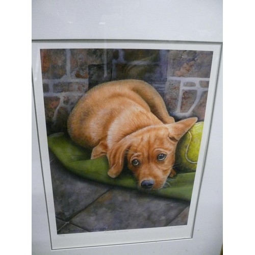 64 - Framed limited edition of 'Playmate wanted' by Phillip Allder and a print of a dancer