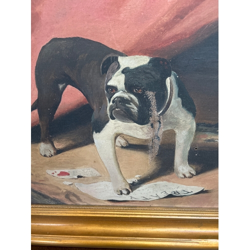 225 - An early 20th Century oil painting on canvas of a bulldog standing on a treaty. The painting most pr... 