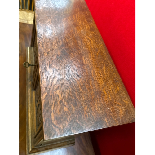 597 - A late 19th small oak cupboard with carved door panels representing the tree of life. Internal shelf... 