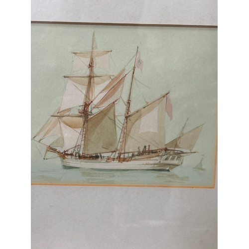 220 - Three original watercolours including a yacht “Sultan of the Maldives” by Pat Jobson, Butterfly on B... 