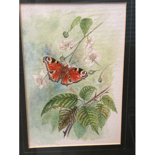 220 - Three original watercolours including a yacht “Sultan of the Maldives” by Pat Jobson, Butterfly on B... 