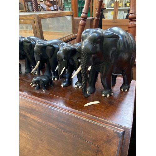 245 - A family of 9x carved ebony elephant sculptures.