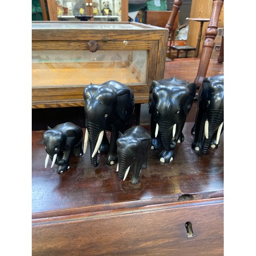 245 - A family of 9x carved ebony elephant sculptures.