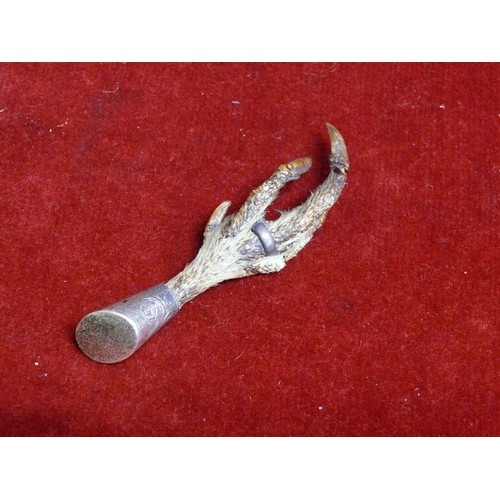 27 - Antique Scottish grouse claw brooch, likely mounted in silver with makers mark “J C & S” (lacking pi... 