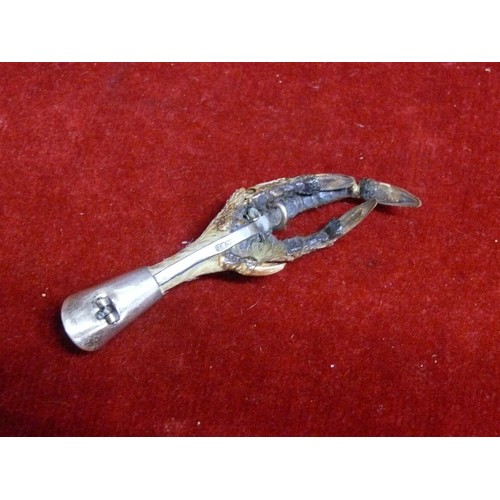 27 - Antique Scottish grouse claw brooch, likely mounted in silver with makers mark “J C & S” (lacking pi... 