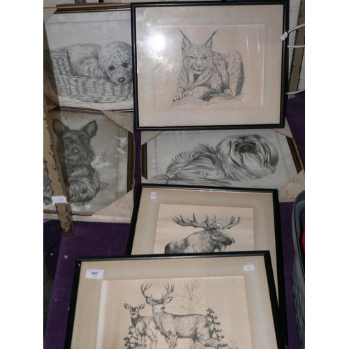 197 - 7 framed and glazed black and white animal prints