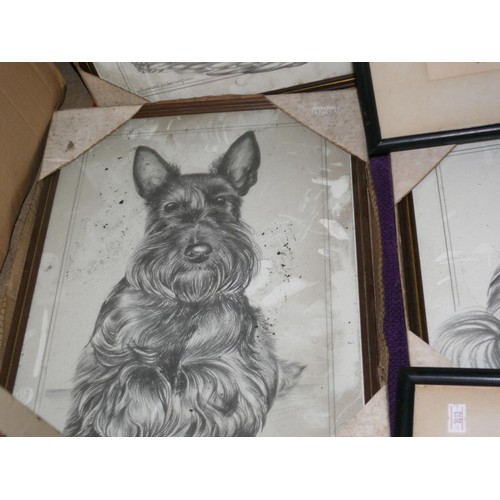 197 - 7 framed and glazed black and white animal prints