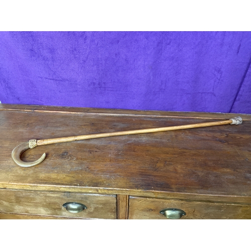 Lot 129       