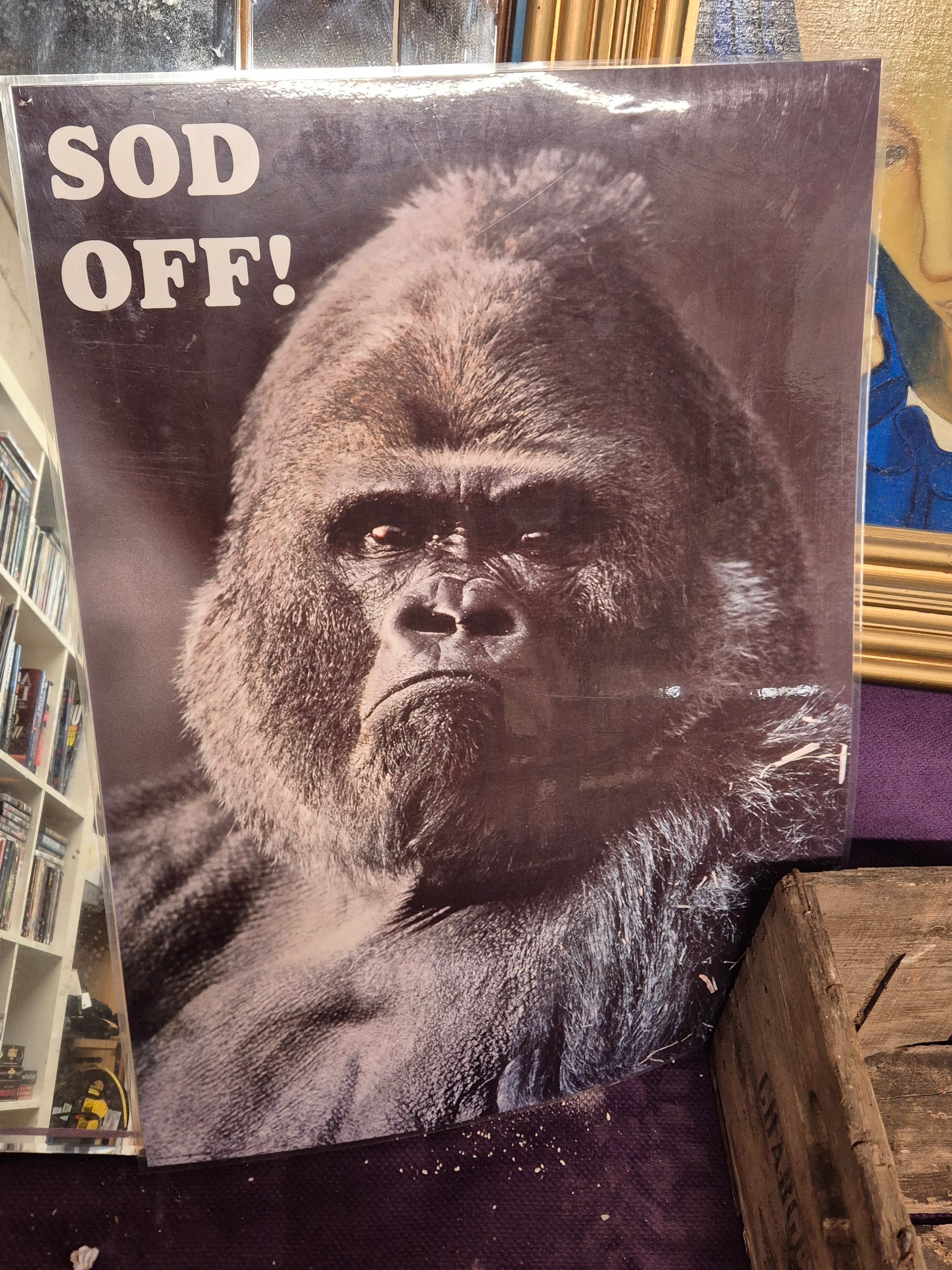 Sod Off! Gorilla poster