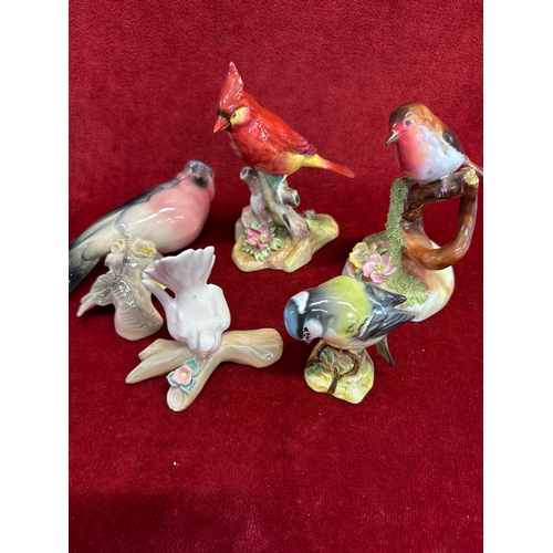 Lot 57        