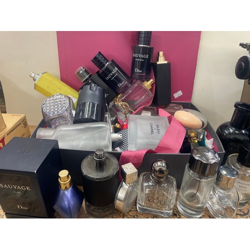 Lot 253       