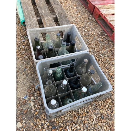 Lot 55        
