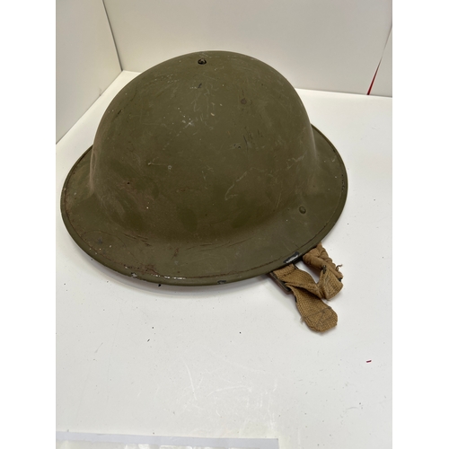 Lot 41        