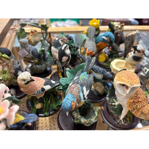 Collection of hand-painted resin bird figures from the Country Bird ...