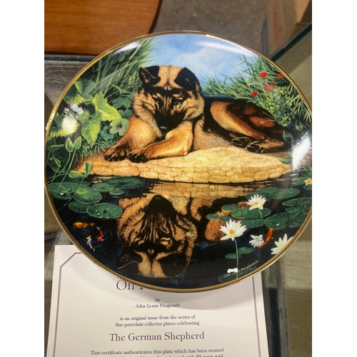 3 Danbury Mint German Shepherd Plates, 2 x 8” and 1 12”, very collectible