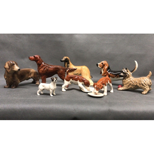 220 - A lovely starter collection group of 8 Beswick dogs with Dachshund, Setter, Saluki, Beagle and other... 